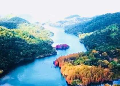 ����Ƭ������݋�c��ΰѿ�