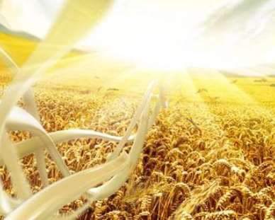 �V��Ƭ��������(y��ng)�ѿص��c(di��n)