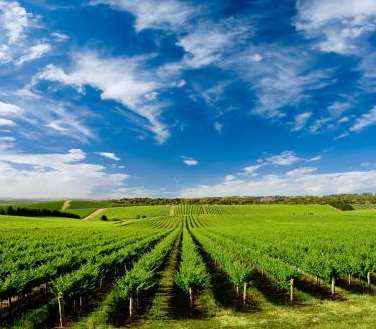 ��I(y��)����Ƭ�ĺ��m(x��)����Ҫ�_�����I(y��)