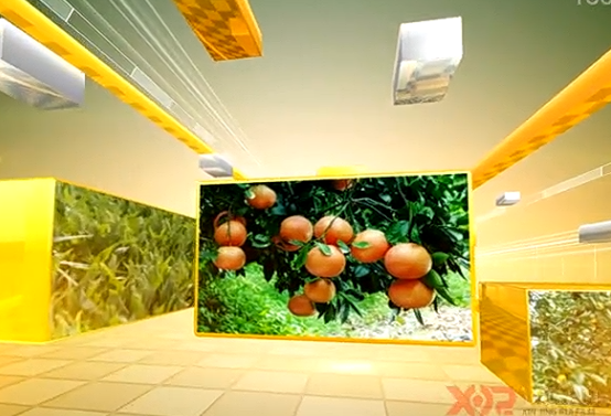 ��I(y��)����Ƭ