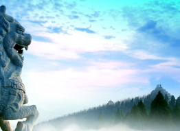 �ϷʏV��ƬͶ��Ҫע����Щ