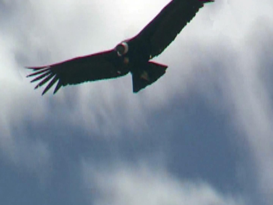 ��I����Ƭ�Č��|����